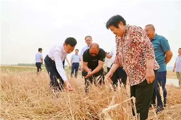 1605701563210957.jpeg 1.jpeg